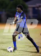 Photo from the gallery "Berean Baptist Academy @ Fayetteville Christian"