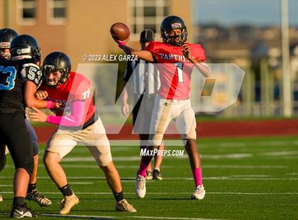 Thumbnail 3 in Harlan photogallery.