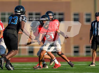 Thumbnail 3 in Harlan photogallery.