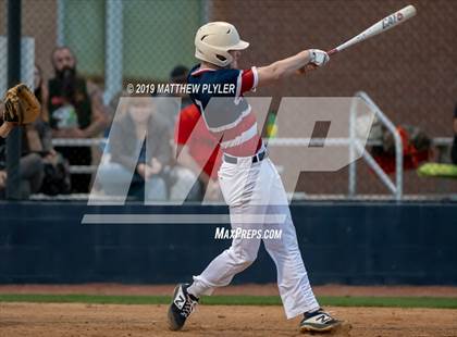 Thumbnail 1 in Pine Forest @ Terry Sanford photogallery.