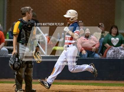 Thumbnail 1 in Pine Forest @ Terry Sanford photogallery.