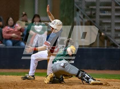 Thumbnail 2 in Pine Forest @ Terry Sanford photogallery.