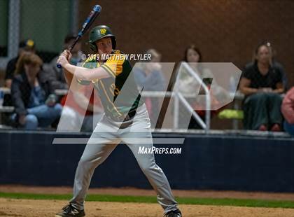 Thumbnail 1 in Pine Forest @ Terry Sanford photogallery.