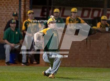 Thumbnail 3 in Pine Forest @ Terry Sanford photogallery.