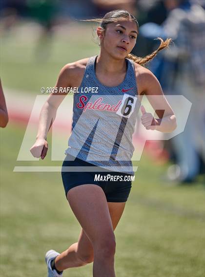 Thumbnail 3 in Dog Pound Invitational (3200M) photogallery.