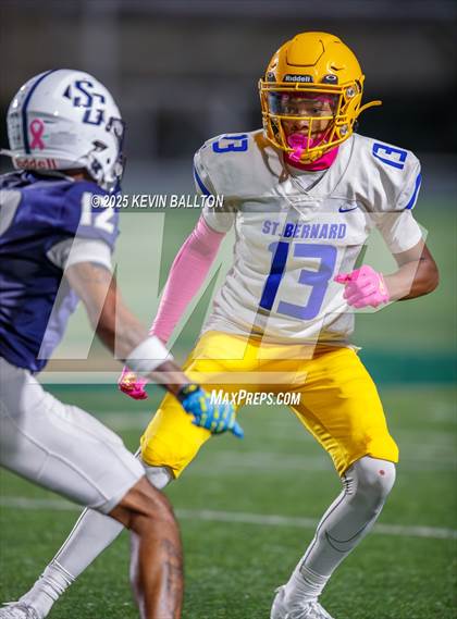 Thumbnail 3 in St. Bernard @ St. Genevieve photogallery.