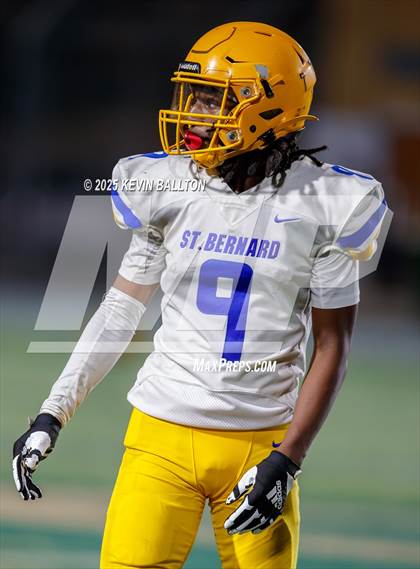 Thumbnail 1 in St. Bernard @ St. Genevieve photogallery.