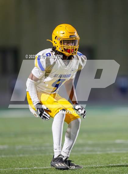 Thumbnail 2 in St. Bernard @ St. Genevieve photogallery.