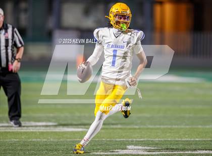 Thumbnail 3 in St. Bernard @ St. Genevieve photogallery.