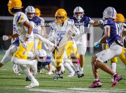 Thumbnail 1 in St. Bernard @ St. Genevieve photogallery.