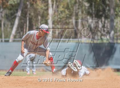 Thumbnail 2 in McClatchy vs. Burroughs photogallery.