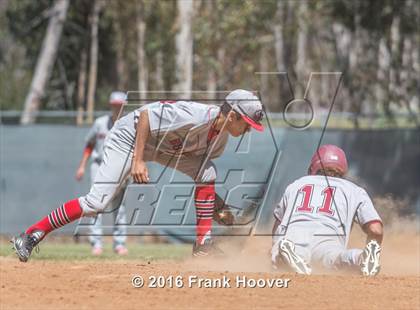 Thumbnail 3 in McClatchy vs. Burroughs photogallery.