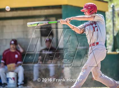 Thumbnail 1 in McClatchy vs. Burroughs photogallery.