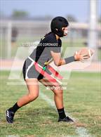 Photo from the gallery "Millennium @ Lathrop"