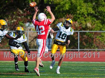 Thumbnail 3 in Hamden @ Branford photogallery.