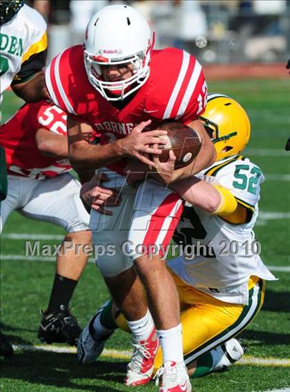 Thumbnail 2 in Hamden @ Branford photogallery.