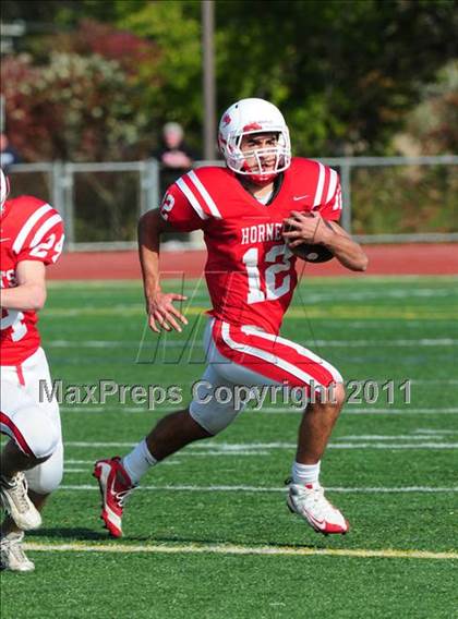 Thumbnail 1 in Hamden @ Branford photogallery.