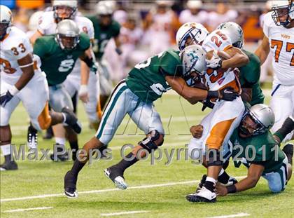 Thumbnail 3 in Madison @ Fort Bend Hightower photogallery.