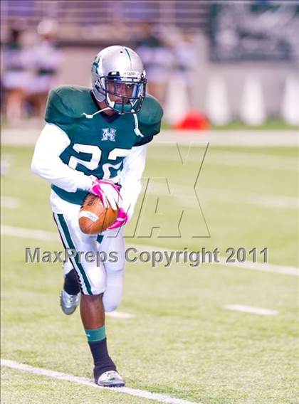 Thumbnail 3 in Madison @ Fort Bend Hightower photogallery.