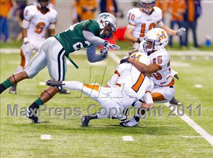 Thumbnail 3 in Madison @ Fort Bend Hightower photogallery.