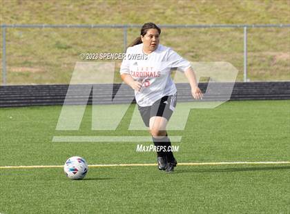 Thumbnail 2 in Berry @ Palisades photogallery.