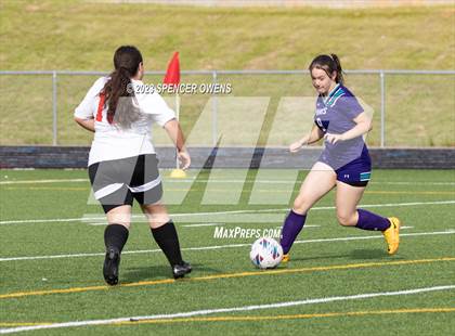 Thumbnail 2 in Berry @ Palisades photogallery.