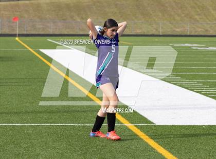 Thumbnail 3 in Berry @ Palisades photogallery.