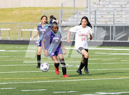 Thumbnail 3 in Berry @ Palisades photogallery.