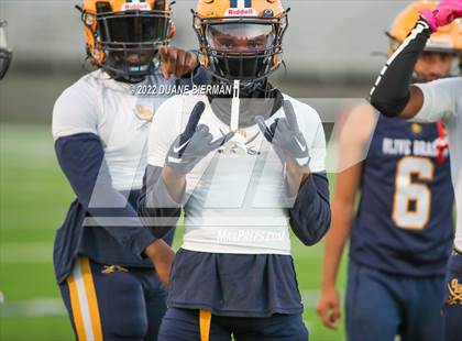 Thumbnail 3 in Southaven @ Olive Branch photogallery.