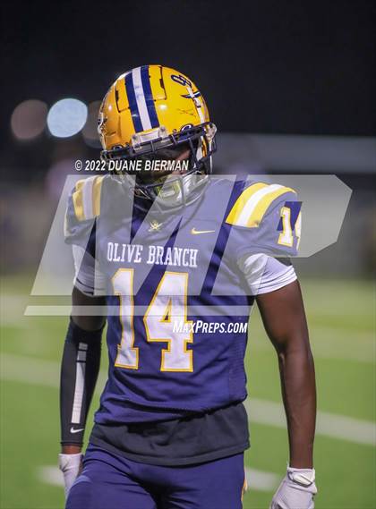 Thumbnail 2 in Southaven @ Olive Branch photogallery.
