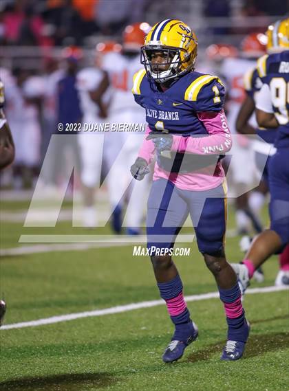 Thumbnail 1 in Southaven @ Olive Branch photogallery.