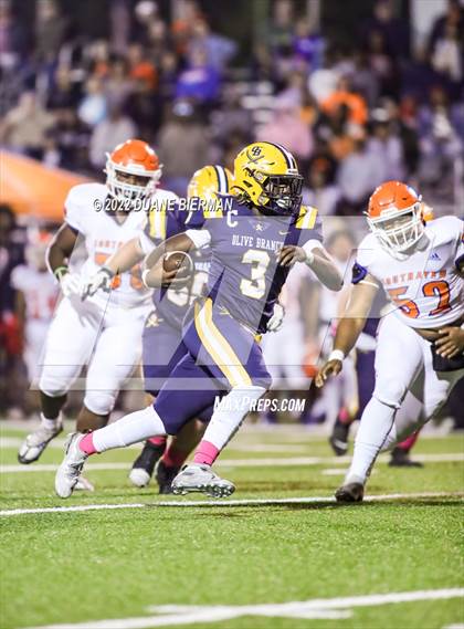 Thumbnail 3 in Southaven @ Olive Branch photogallery.
