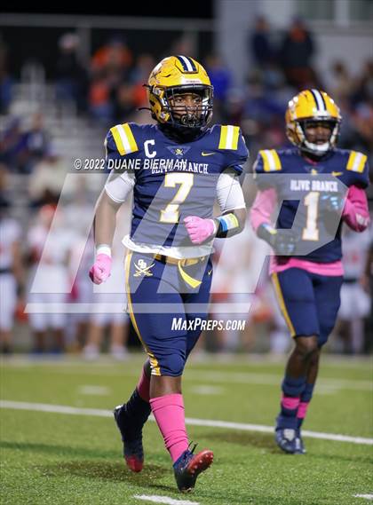 Thumbnail 3 in Southaven @ Olive Branch photogallery.