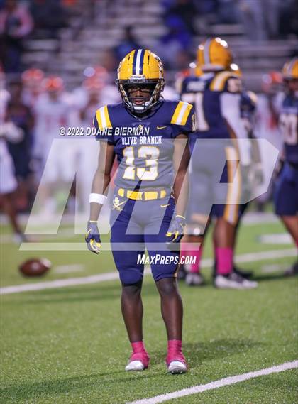 Thumbnail 2 in Southaven @ Olive Branch photogallery.