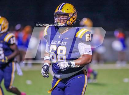 Thumbnail 1 in Southaven @ Olive Branch photogallery.