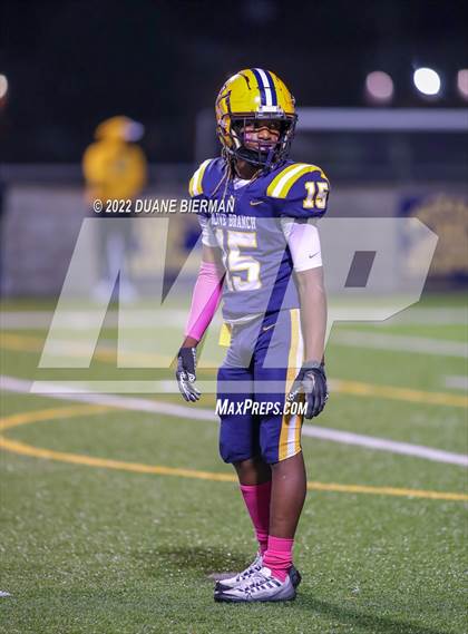 Thumbnail 3 in Southaven @ Olive Branch photogallery.