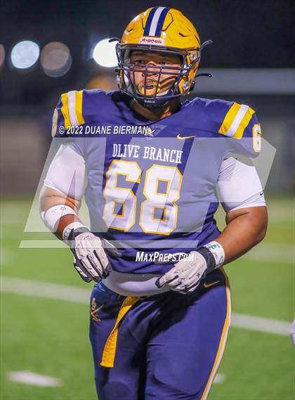 Thumbnail 1 in Southaven @ Olive Branch photogallery.