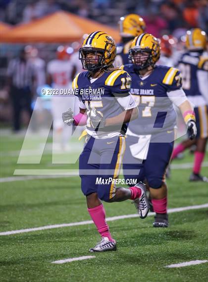 Thumbnail 3 in Southaven @ Olive Branch photogallery.