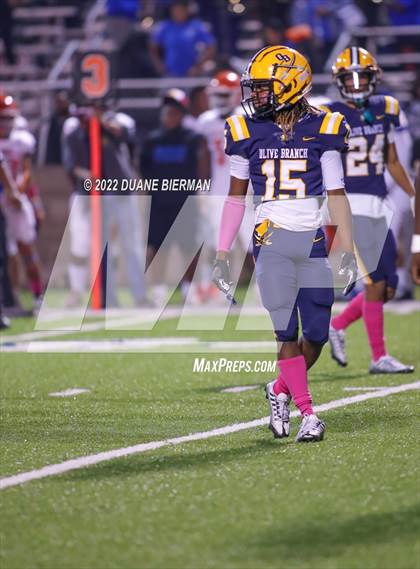 Thumbnail 1 in Southaven @ Olive Branch photogallery.