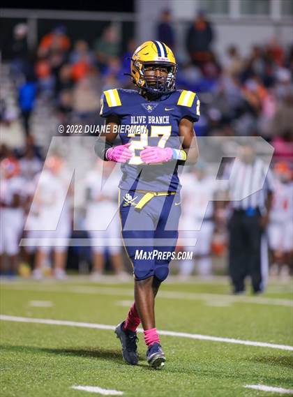 Thumbnail 1 in Southaven @ Olive Branch photogallery.