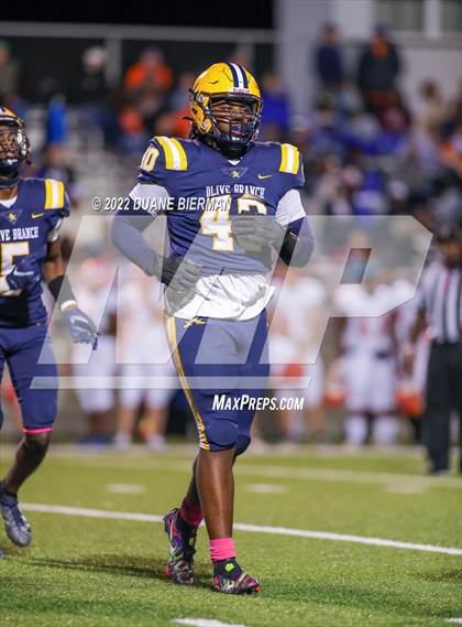 Thumbnail 3 in Southaven @ Olive Branch photogallery.