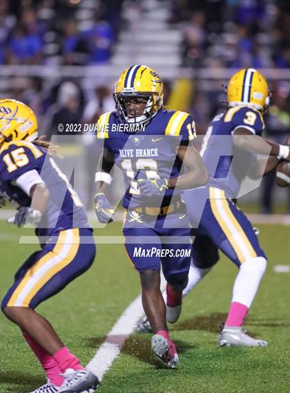 Thumbnail 3 in Southaven @ Olive Branch photogallery.