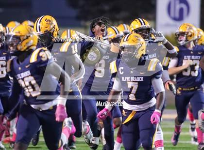 Thumbnail 1 in Southaven @ Olive Branch photogallery.