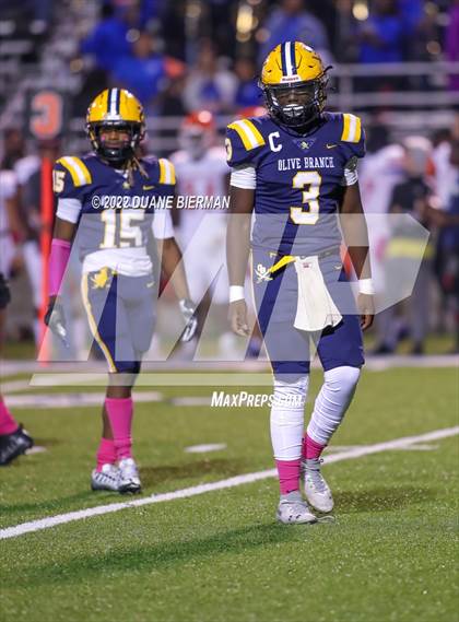 Thumbnail 3 in Southaven @ Olive Branch photogallery.