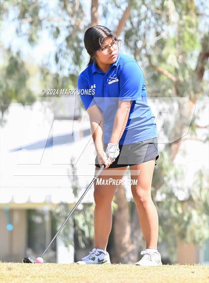 Thumbnail 3 in Metro Invitational Golf Tournament photogallery.
