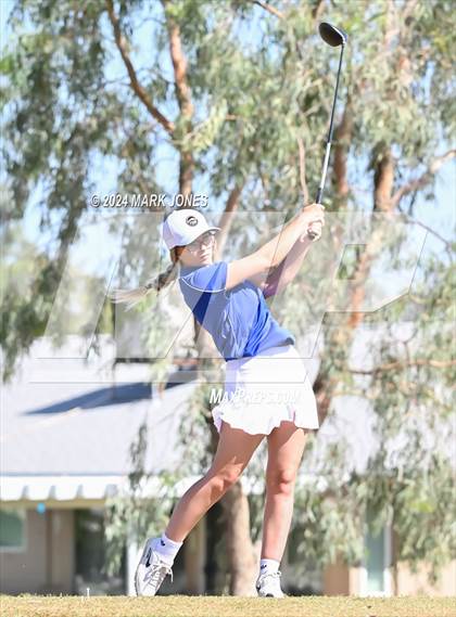 Thumbnail 1 in Metro Invitational Golf Tournament photogallery.