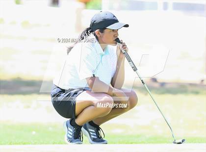 Thumbnail 1 in Metro Invitational Golf Tournament photogallery.