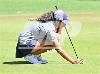 Thumbnail 1 in Metro Invitational Golf Tournament photogallery.