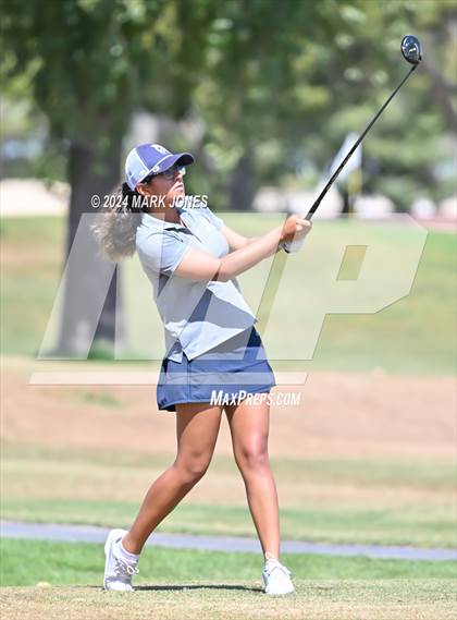 Thumbnail 1 in Metro Invitational Golf Tournament photogallery.