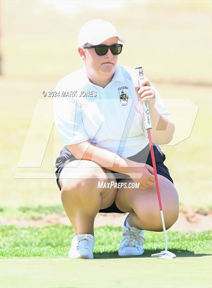 Thumbnail 1 in Metro Invitational Golf Tournament photogallery.